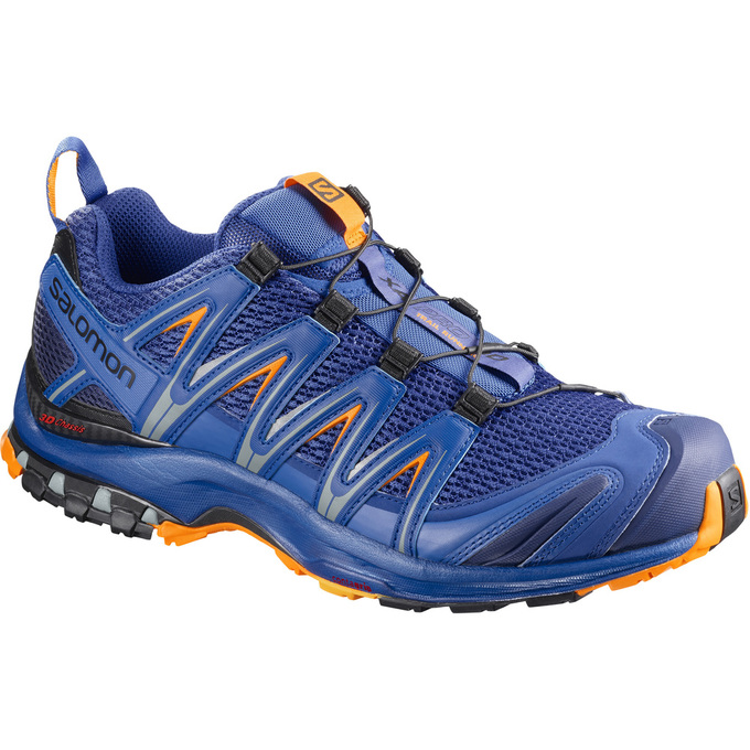 Zapatillas Trail Running Salomon Hombre Azules Oscuro - Salomon Argentina XA PRO 3D ,073594-ZTV